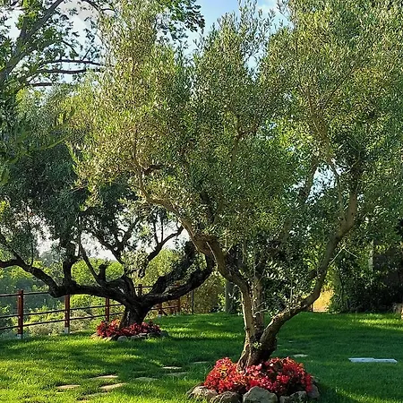 Giardini Penelope E * Τσιαμπίνο