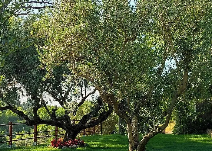 Giardini Penelope E * Ciampino